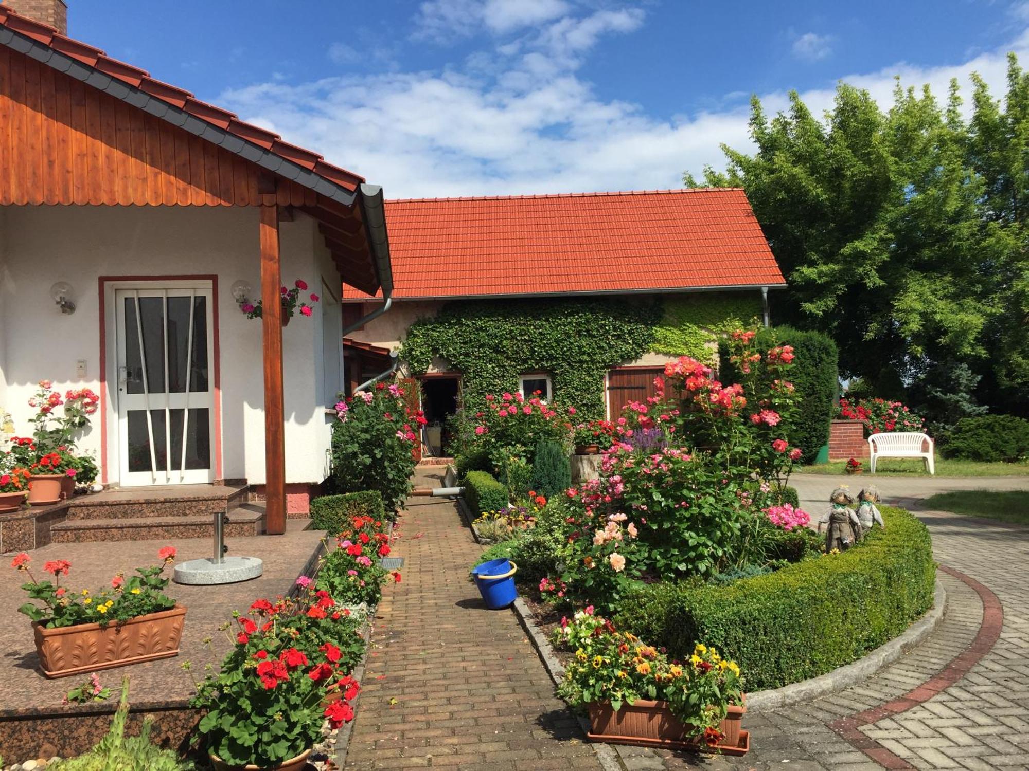 Top-Moderne Ferienwohnung Und Apartments Auf Frueherem Wunderschoenen Bauernhof Im Elbe-Elster-Kreis In Brandenburg Bei Herzberg-Elster, Schoenewalde, Holzdorf Buitenkant foto