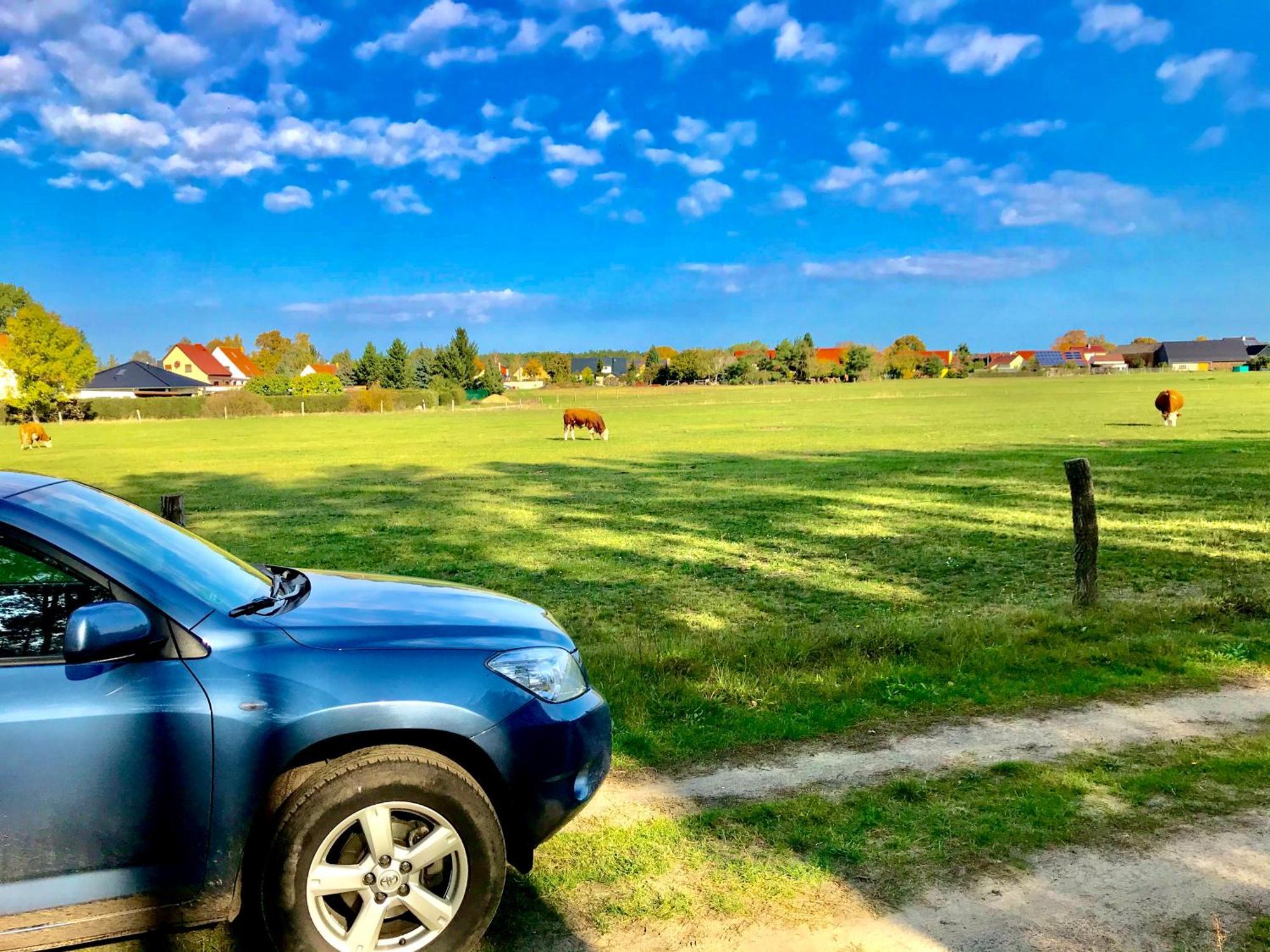 Top-Moderne Ferienwohnung Und Apartments Auf Frueherem Wunderschoenen Bauernhof Im Elbe-Elster-Kreis In Brandenburg Bei Herzberg-Elster, Schoenewalde, Holzdorf Buitenkant foto