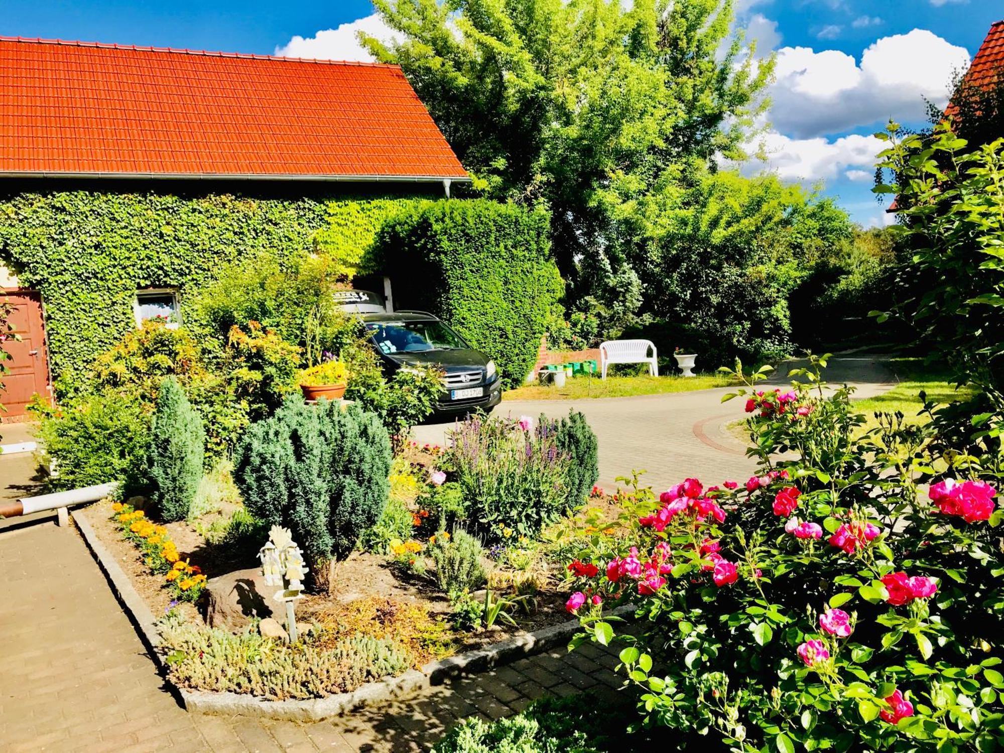 Top-Moderne Ferienwohnung Und Apartments Auf Frueherem Wunderschoenen Bauernhof Im Elbe-Elster-Kreis In Brandenburg Bei Herzberg-Elster, Schoenewalde, Holzdorf Buitenkant foto